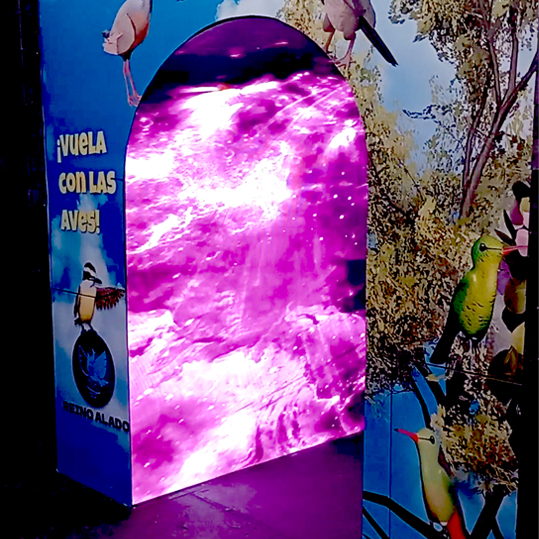 Túnel LED inmersivo BTL para la activación de marca interactiva Reino Alado en la COP16 por Híbrido.